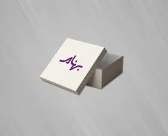 جعبه کفش
